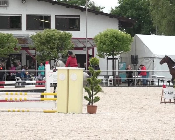 Reitturnier Achern 2018