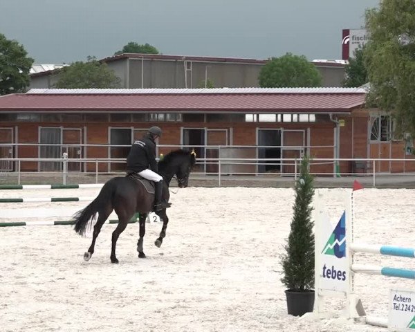 Reitturnier Achern 2018