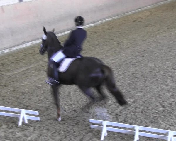 Reitturnier Hamm-Rhynern 2018