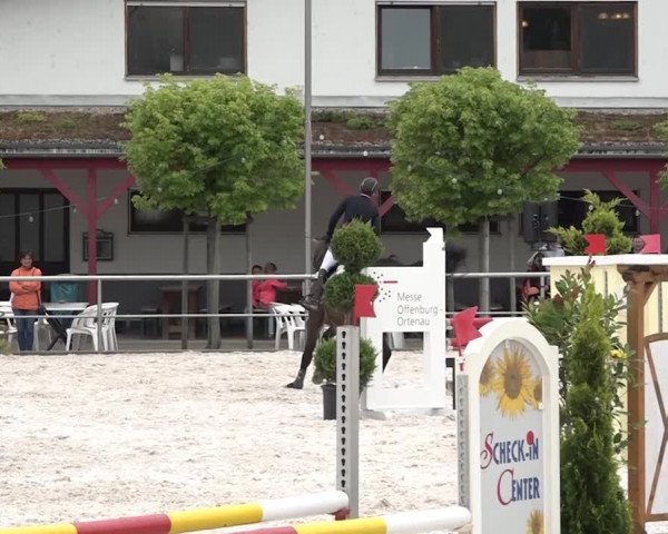 Reitturnier Achern 2018