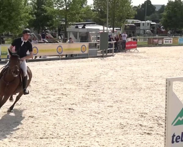 Reitturnier Achern 2018