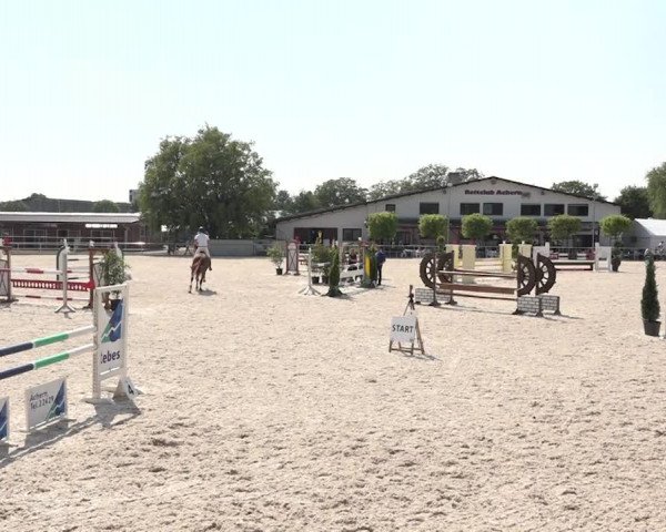 Reitturnier Achern 2018