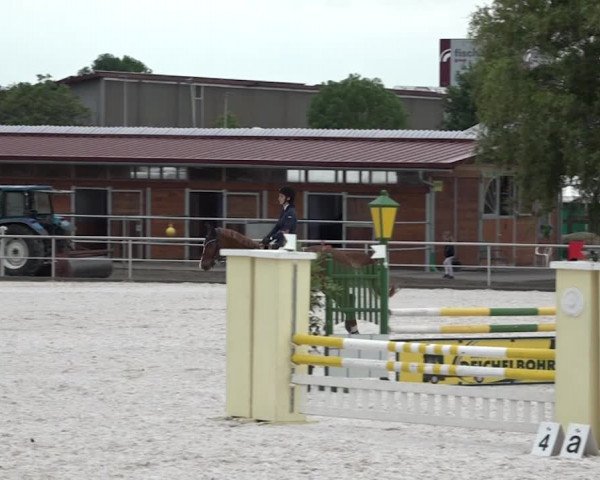 Reitturnier Achern 2018
