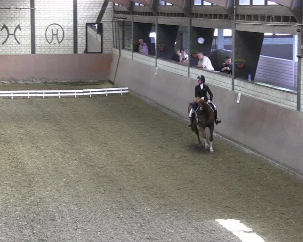 Reitturnier Hamm-Rhynern 2018