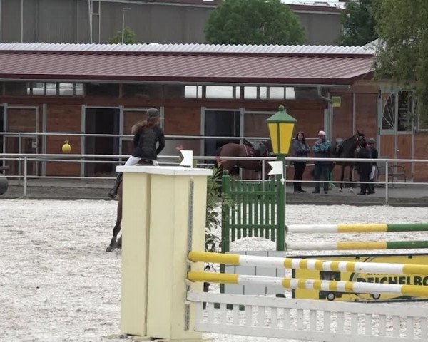 Reitturnier Achern 2018