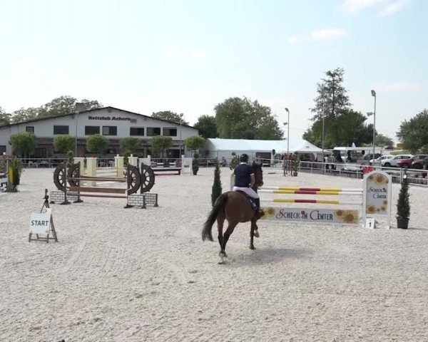 Reitturnier Achern 2018