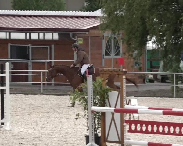 Reitturnier Achern 2018