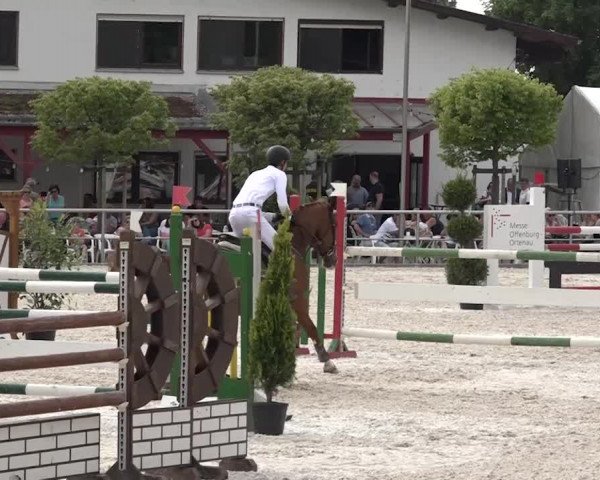 Reitturnier Achern 2018