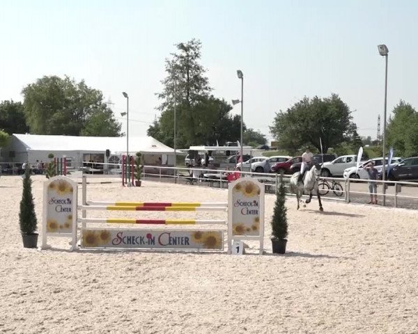 Reitturnier Achern 2018