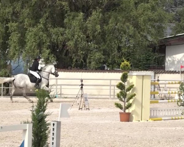 Reitturnier Achern 2018
