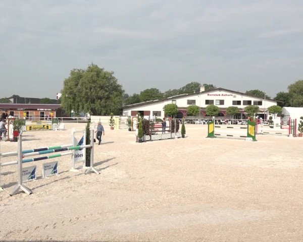 Reitturnier Achern 2018