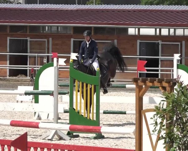 Reitturnier Achern 2018