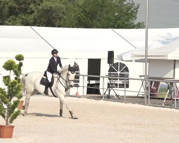 Reitturnier Achern 2018