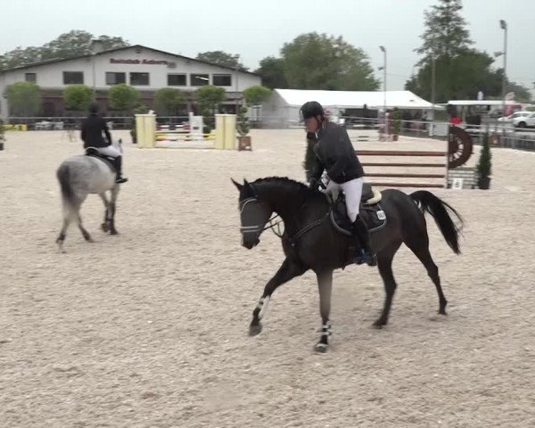 Reitturnier Achern 2018