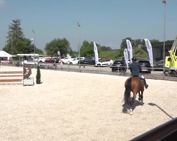 Reitturnier Achern 2018