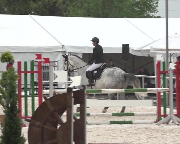 Reitturnier Achern 2018