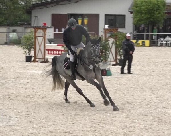 Reitturnier Achern 2018