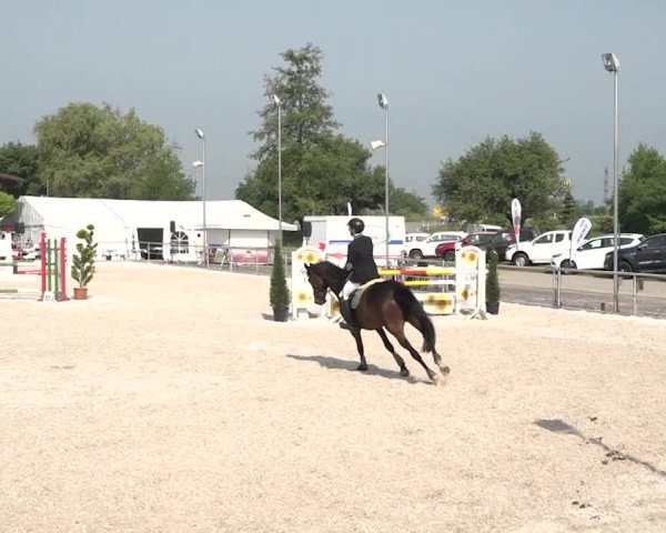 Reitturnier Achern 2018