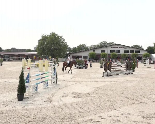 Reitturnier Achern 2018