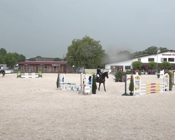 Reitturnier Achern 2018