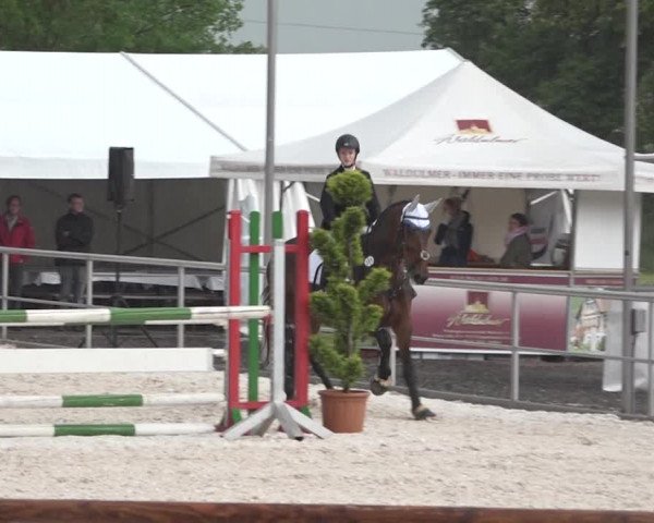 Reitturnier Achern 2018