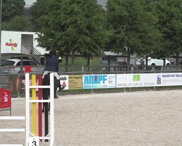 Reitturnier Achern 2018