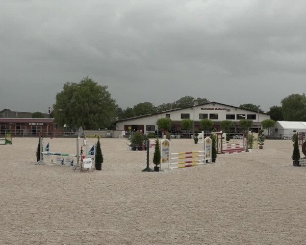 Reitturnier Achern 2018