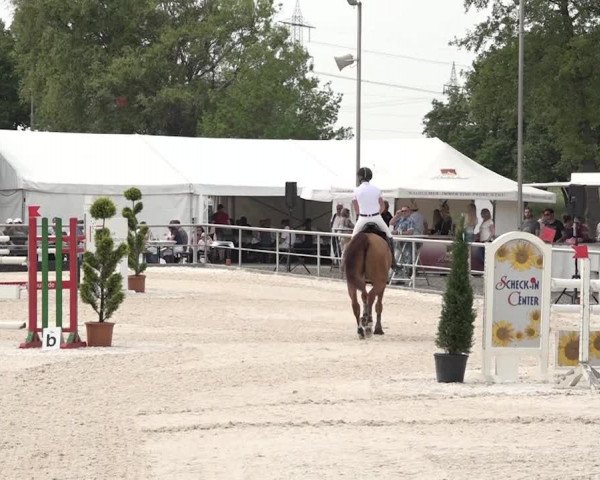 Reitturnier Achern 2018
