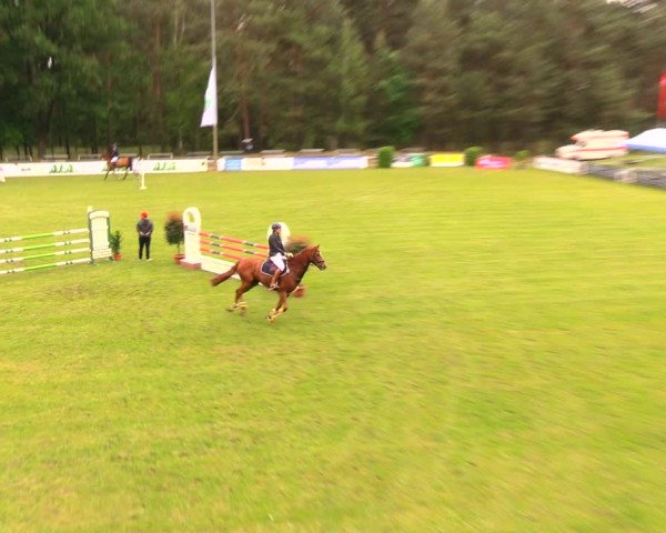Reitturnier Cottbus-Sielow 2018