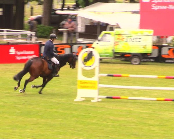 Reitturnier Cottbus-Sielow 2018