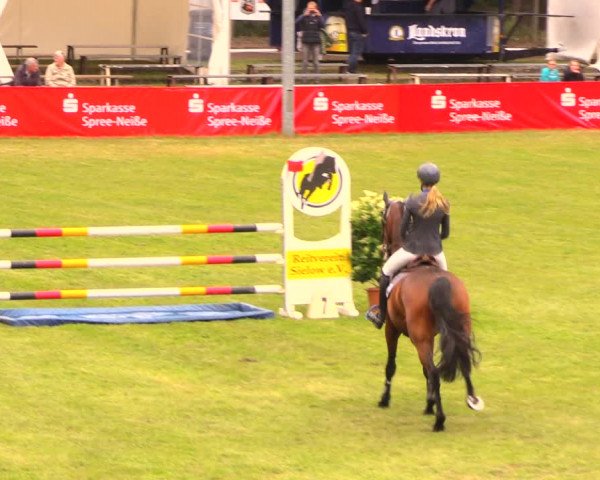 Reitturnier Cottbus-Sielow 2018