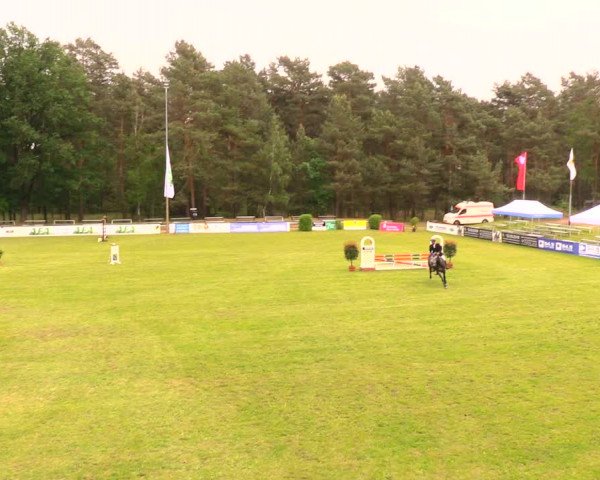 Reitturnier Cottbus-Sielow 2018