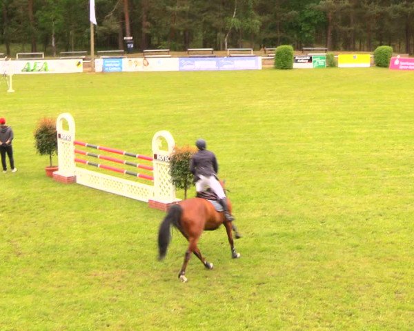 Reitturnier Cottbus-Sielow 2018