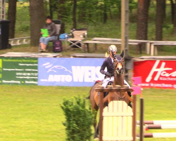 Reitturnier Cottbus-Sielow 2018