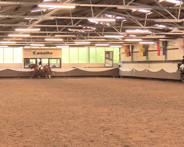 Pfingssturnier Bochum-Nord 2018