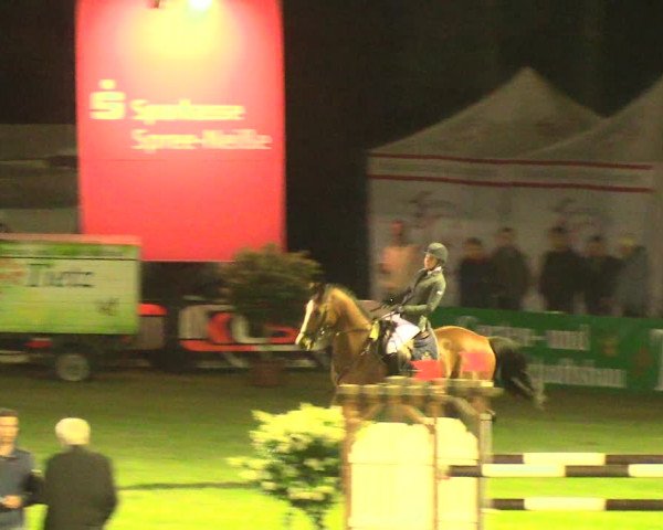 Reitturnier Cottbus-Sielow 2018