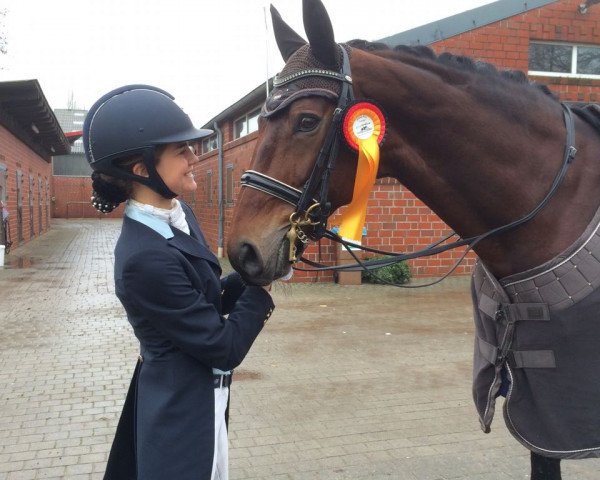 dressage horse Soulmate 4 (Hanoverian, 2006, from Sandro Hit)
