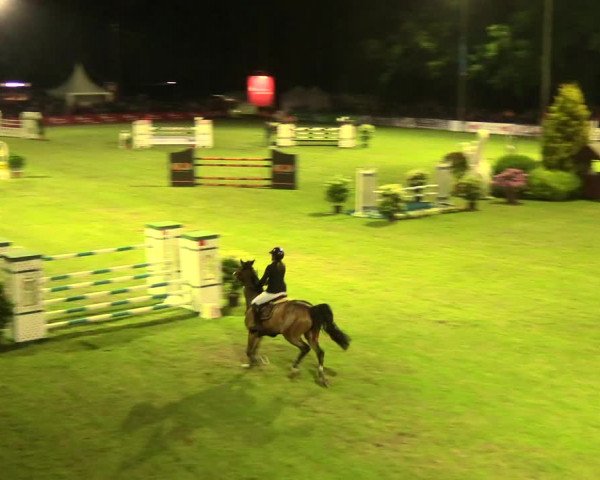 Reitturnier Cottbus-Sielow 2018