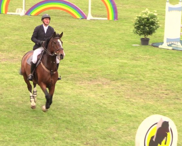 Reitturnier Cottbus-Sielow 2018