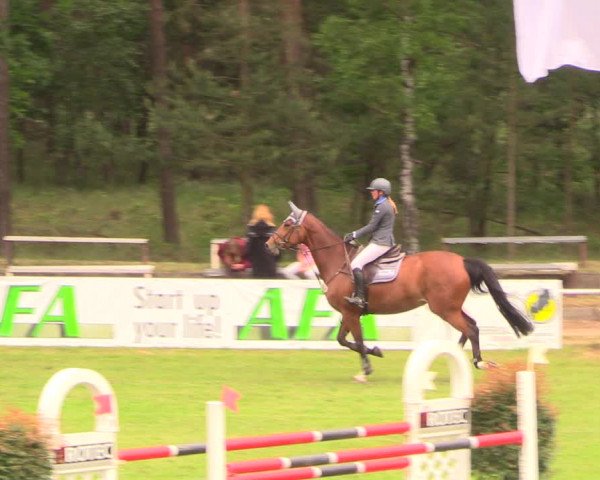 Reitturnier Cottbus-Sielow 2018