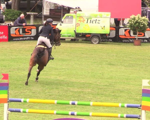 Reitturnier Cottbus-Sielow 2018