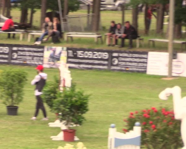 Reitturnier Cottbus-Sielow 2018