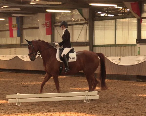 Pfingssturnier Bochum-Nord 2018
