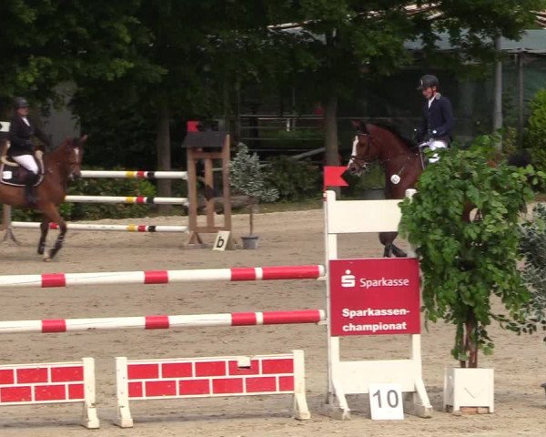 Pfingssturnier Bochum-Nord 2018