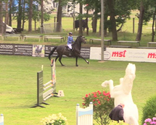 Reitturnier Cottbus-Sielow 2018