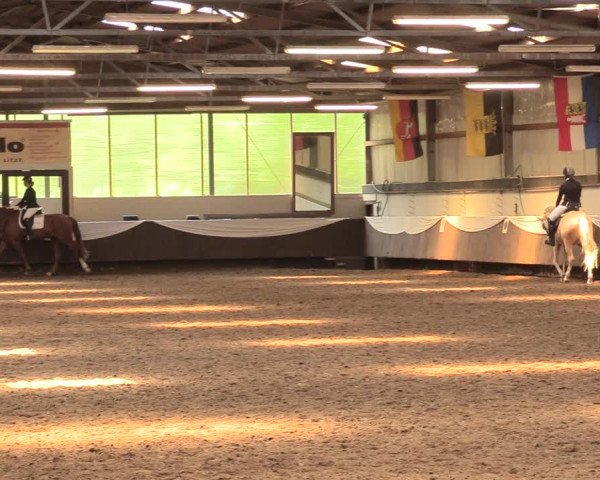 Pfingssturnier Bochum-Nord 2018