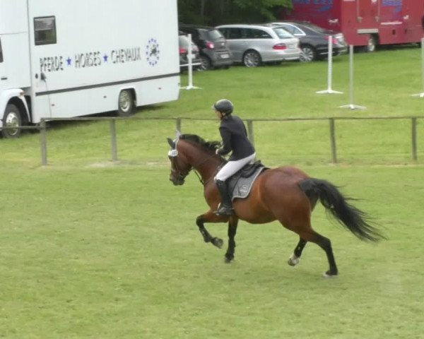 Reitturnier Jettingen 2018