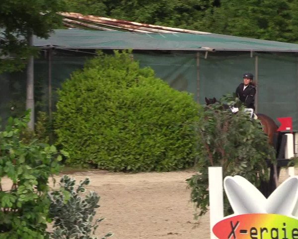 Pfingssturnier Bochum-Nord 2018