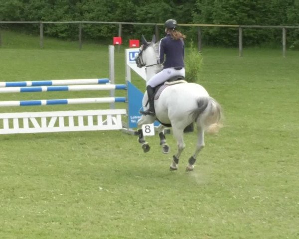 Reitturnier Jettingen 2018