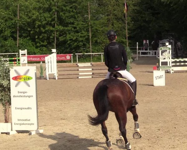 Pfingssturnier Bochum-Nord 2018